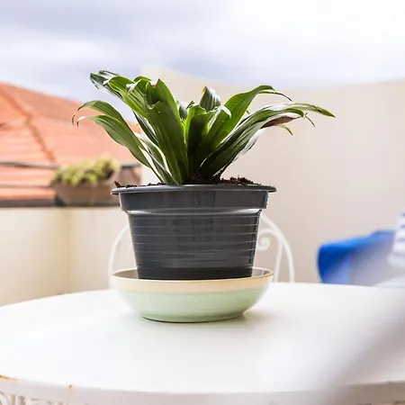 Apartamento Camarão Porto